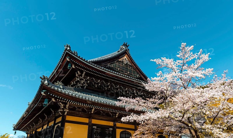 Nanzenji Temple with cherry blossoms