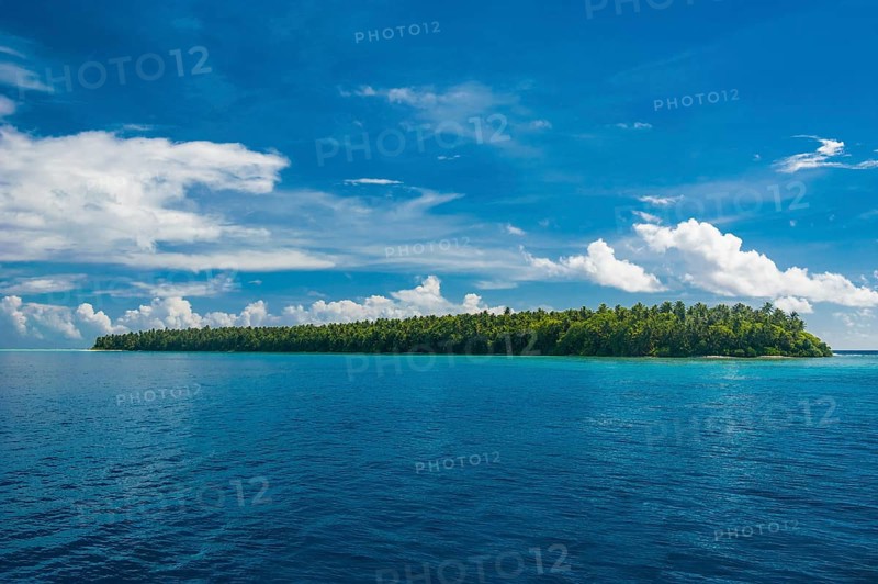 Islet in the Ant Atoll