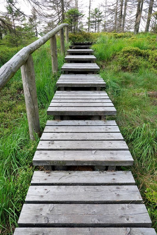 Boardwalk