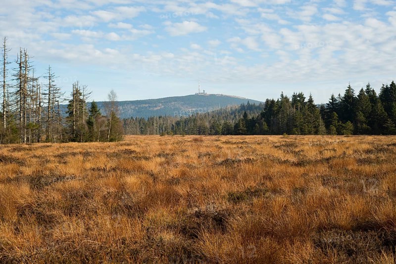 Torfhausmoor in autumn