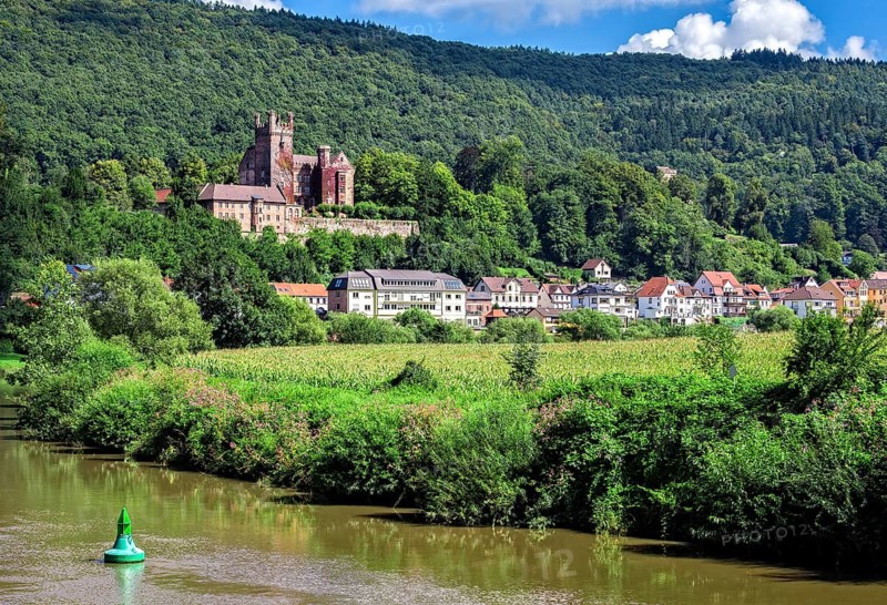Mittelburg castle