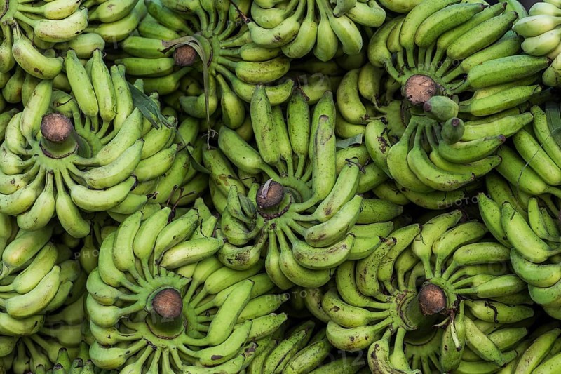 Banana stalks