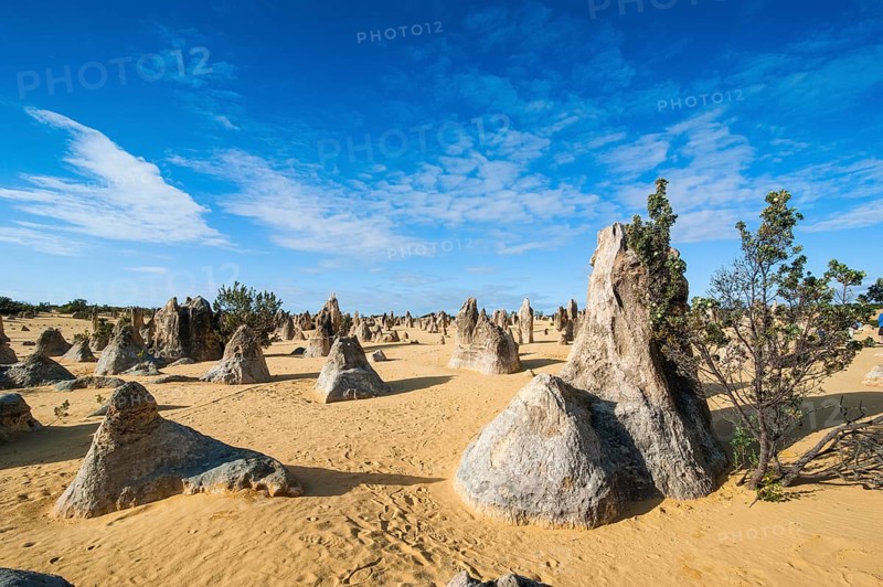 The Pinnacles limestone formations
