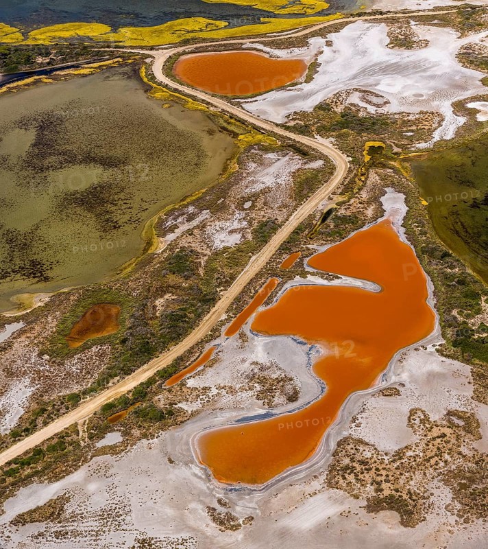 Salt patterns on the surface of salt marshes