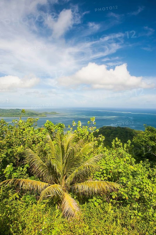 Overlooking the island of Pohnpei