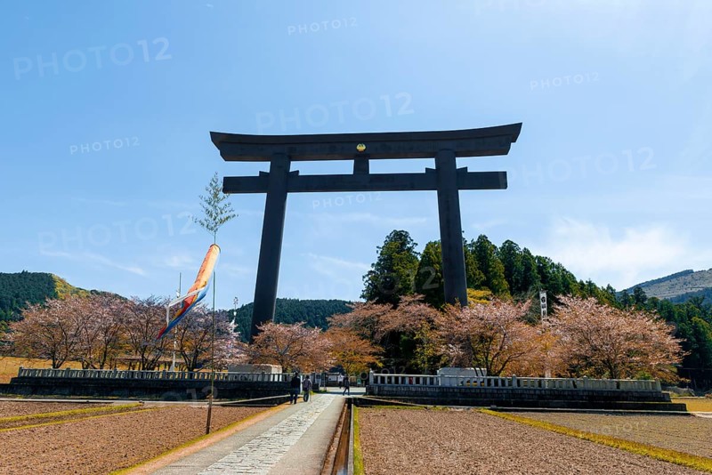Largest Torii in the world