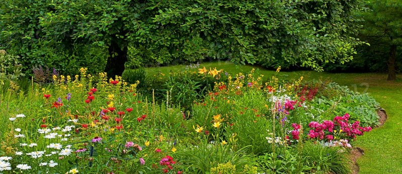 Flower garden