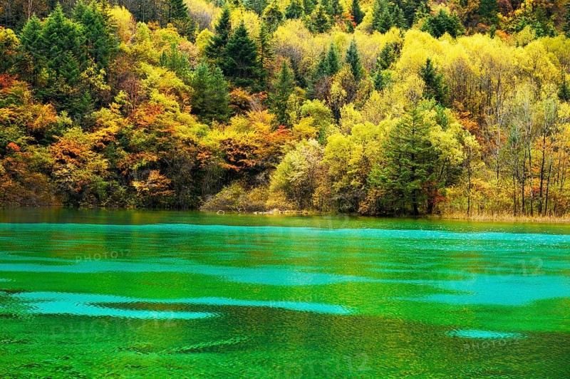 Five Flower Lake in autumnal environment