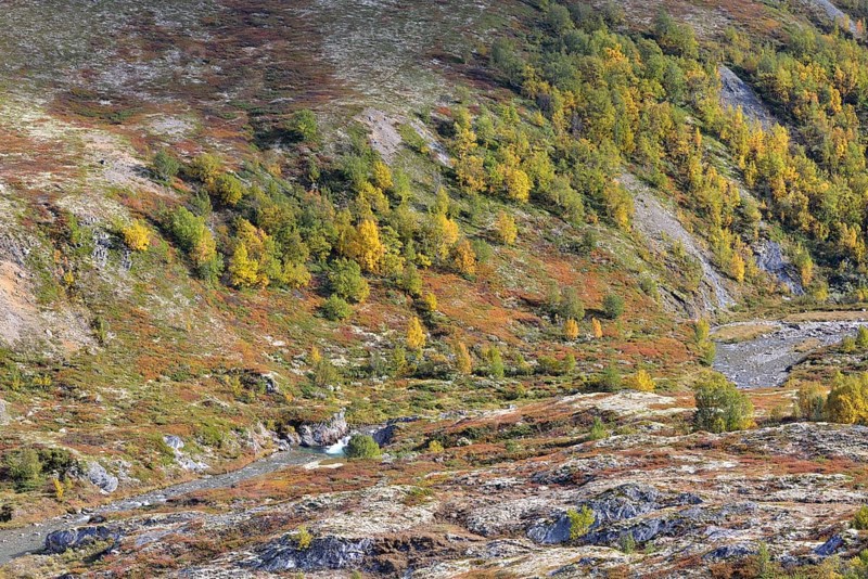 Fjell landscape in autumn