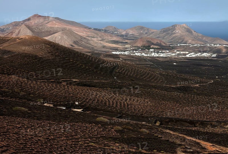 View from the Montana de Guardilama range south on the wine growing region of La Geria