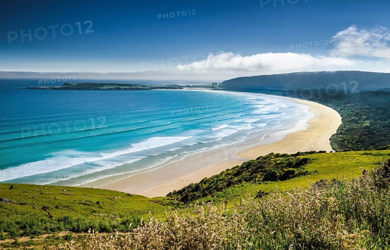 Sandy beach on the coast
