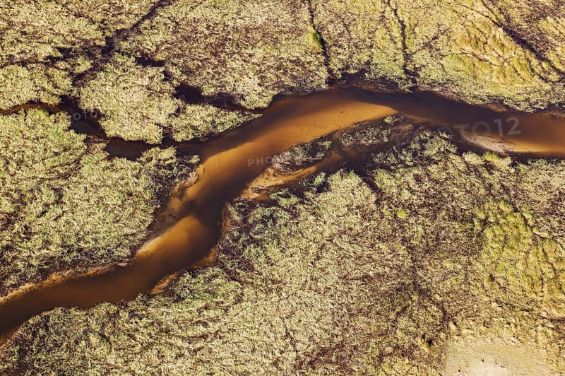 Freshwater marshes with sandy streams and channels