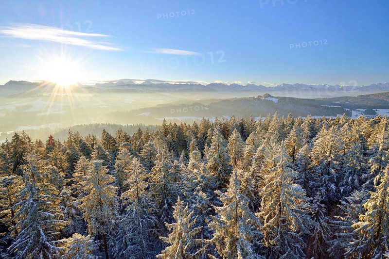 Sunrise over the Bernese Alps