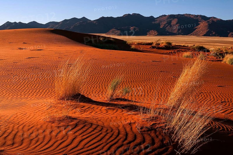 Southern foothills of the Namib desert