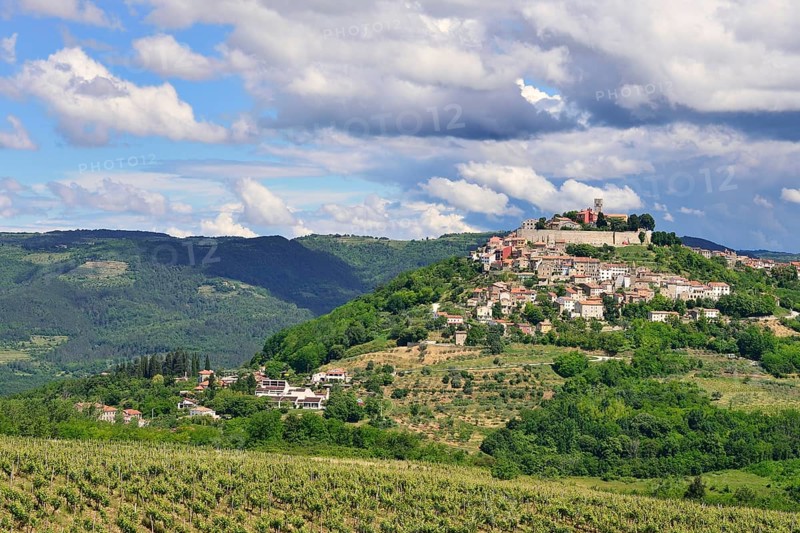 View across vineyards to the town with atmospheric clouds