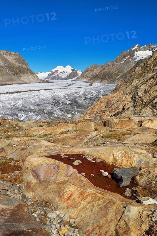 Great Aletsch Glacier