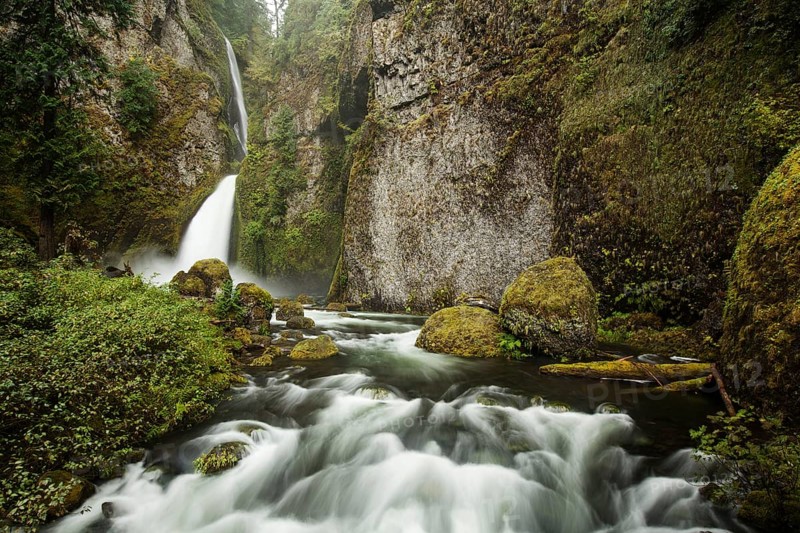Wahclella Falls in the Columbia River Gorge
