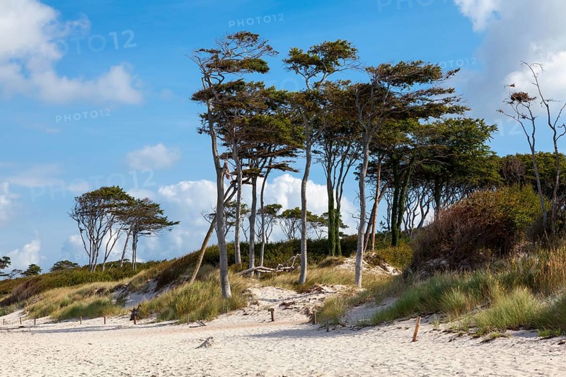West beach