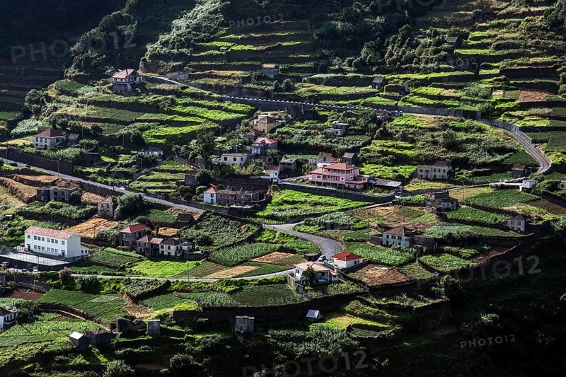 Terraced fields and houses