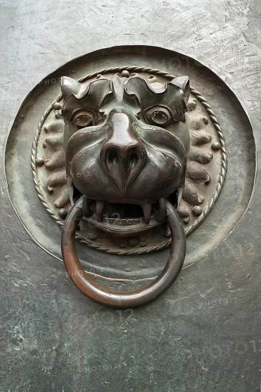 Door knocker with a lion's head