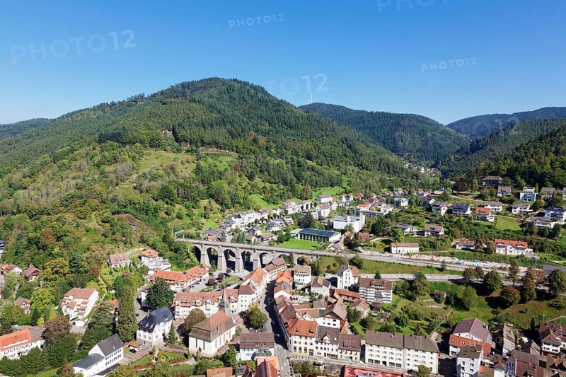 View from the castle on Hornberg and Gutachtal