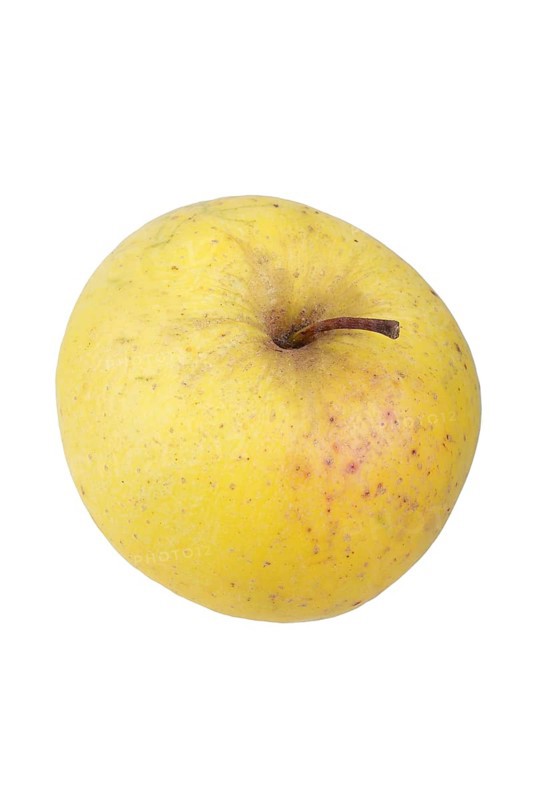 Apple variety Auralia