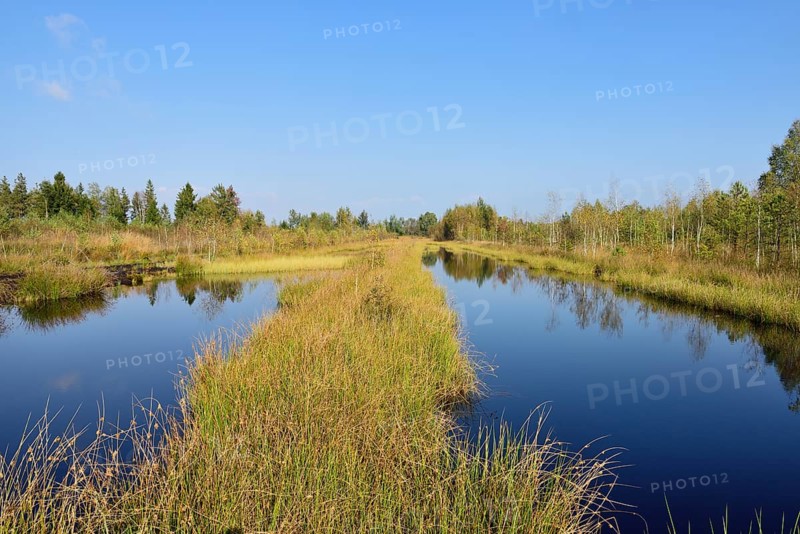 Waterlogged