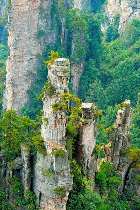 Tianzishan mountain with vertical rock columns of quartz sandstone