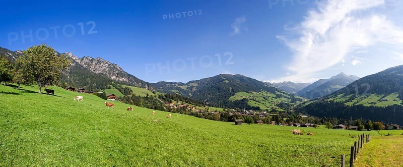 Panoramic view