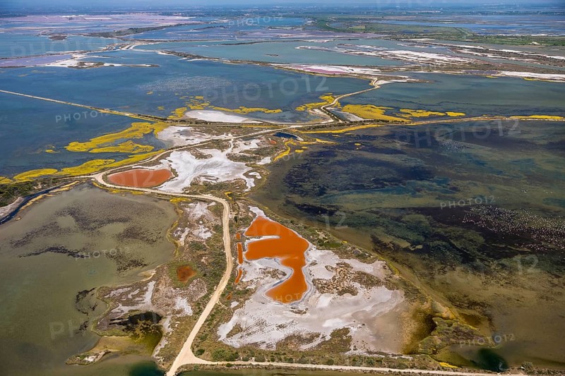 Salt patterns on the surface of salt marshes