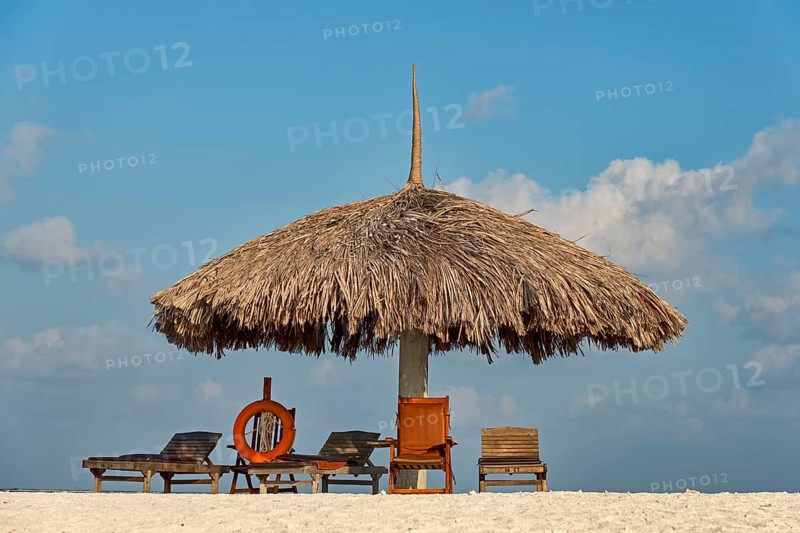 Parasol