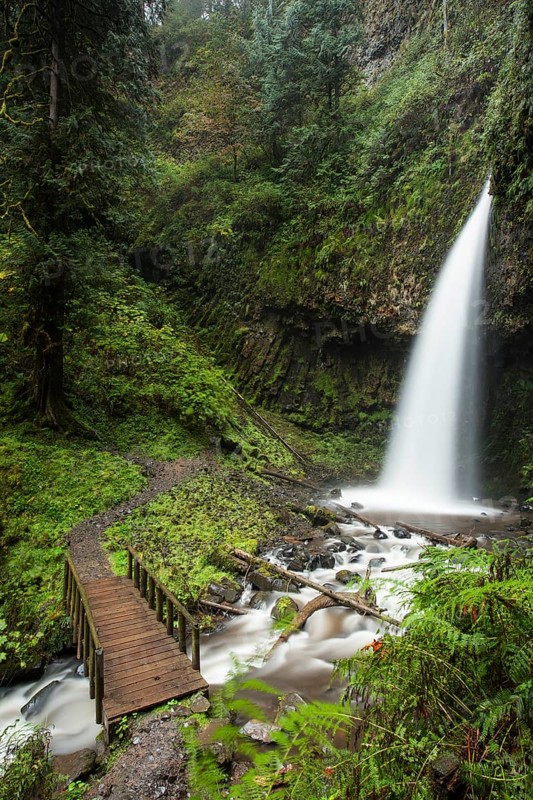 Latourell Falls in the Columbia River Gorge