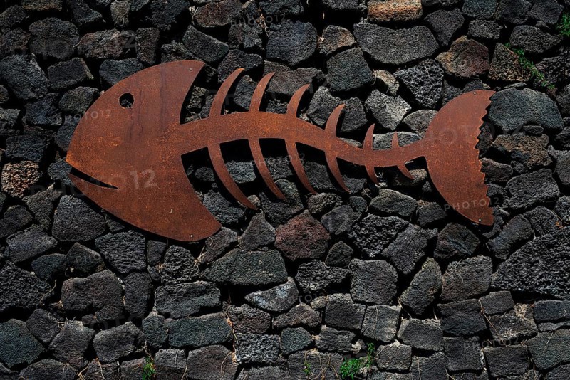 Metal fish on a stone wall