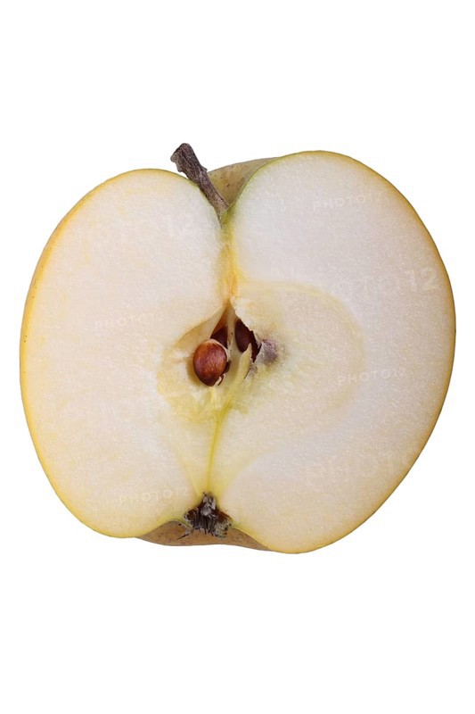 Apple variety Ananas Reinette