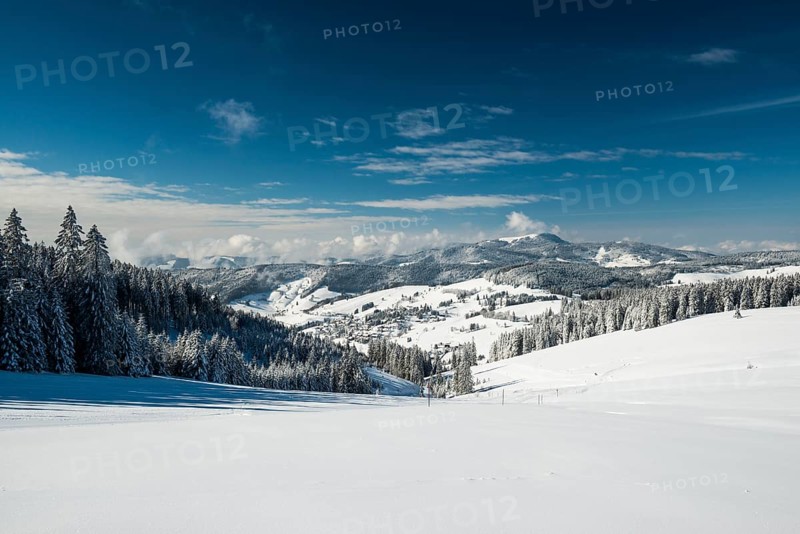 Snowy winter landscape