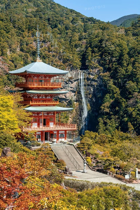 Nachi waterfall behind pagoda of Seigantoji Temple