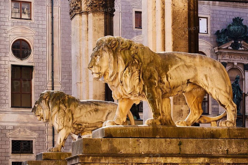 Stone lions at the Feldherrnhalle
