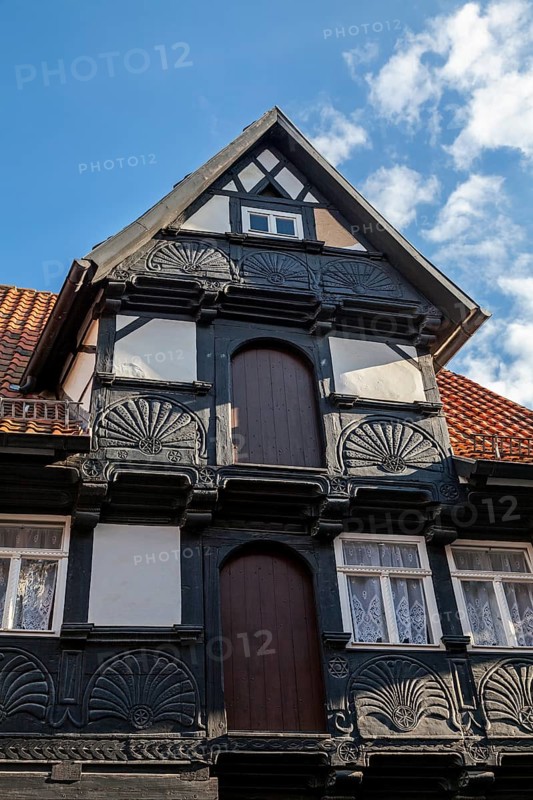Ornately carved beams