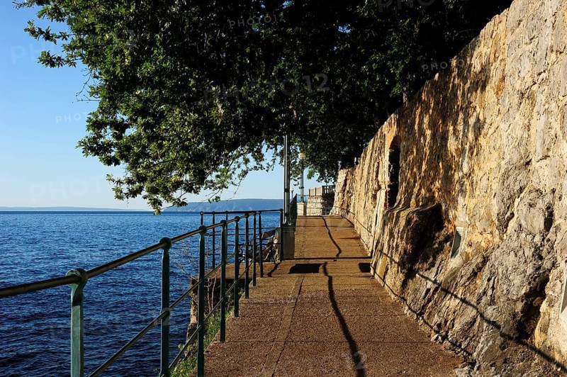 The boardwalk trail along the rocky coast