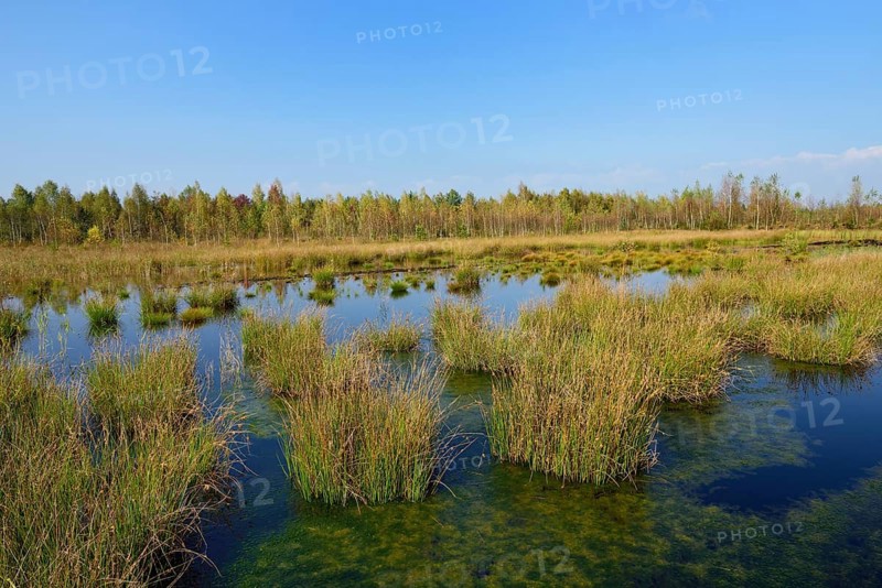 Waterlogged