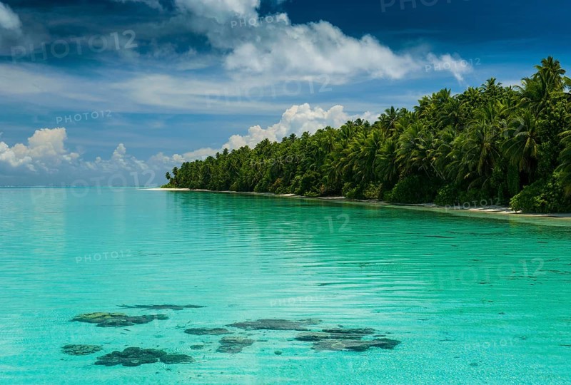 Islet and turquoise water in the Ant Atoll