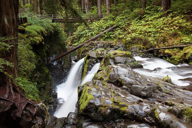 Sol Duc Falls in the Sol Duc River Valley