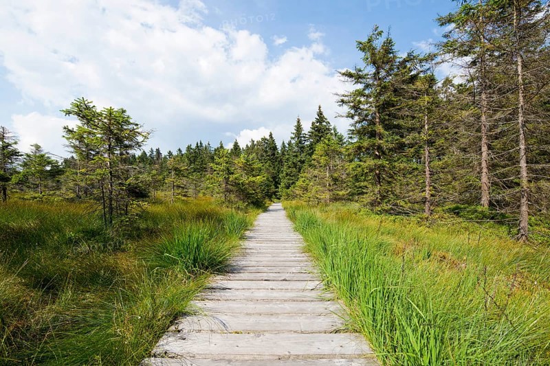 Boardwalk