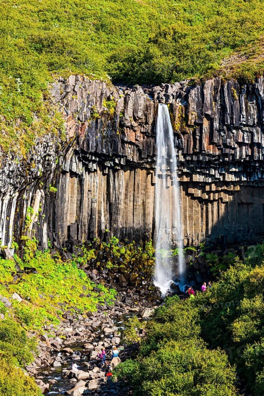 Svartifoss