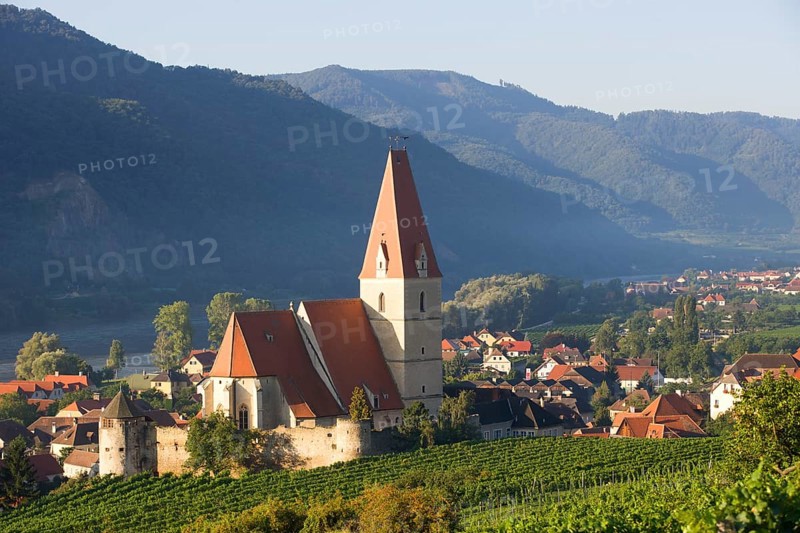 Vineyards and a fortified church on the Danube
