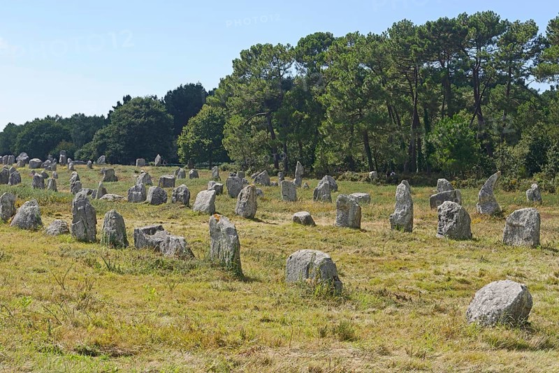 Carnac stones