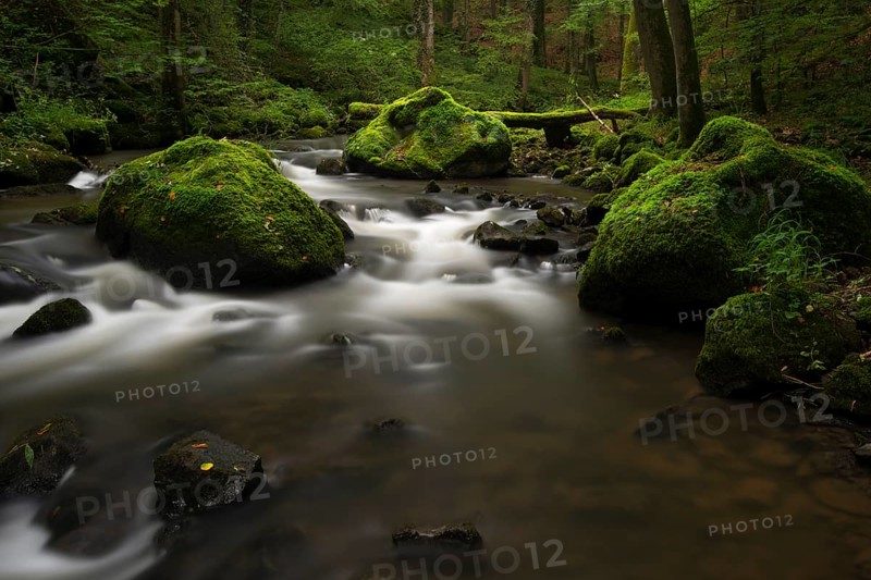 Stream