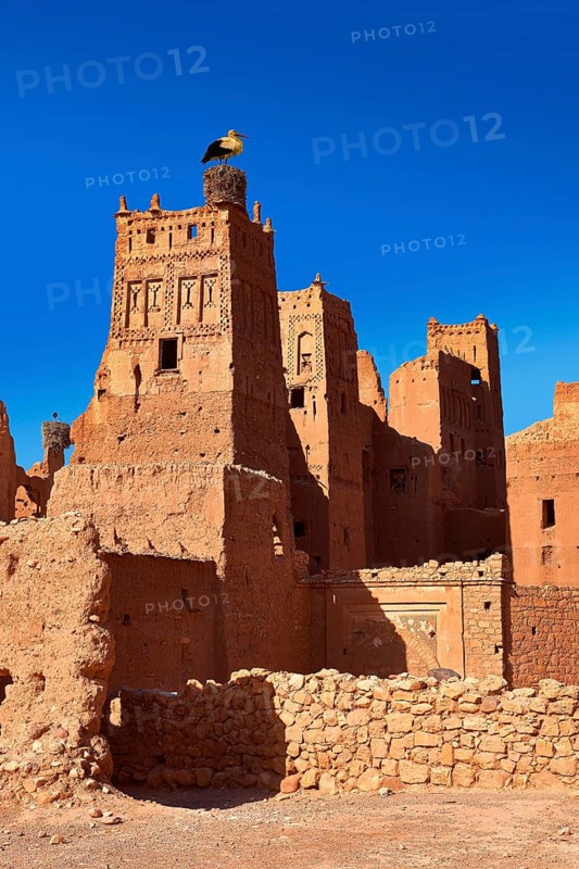 Stork nesting on the Glaoui Kasbah's