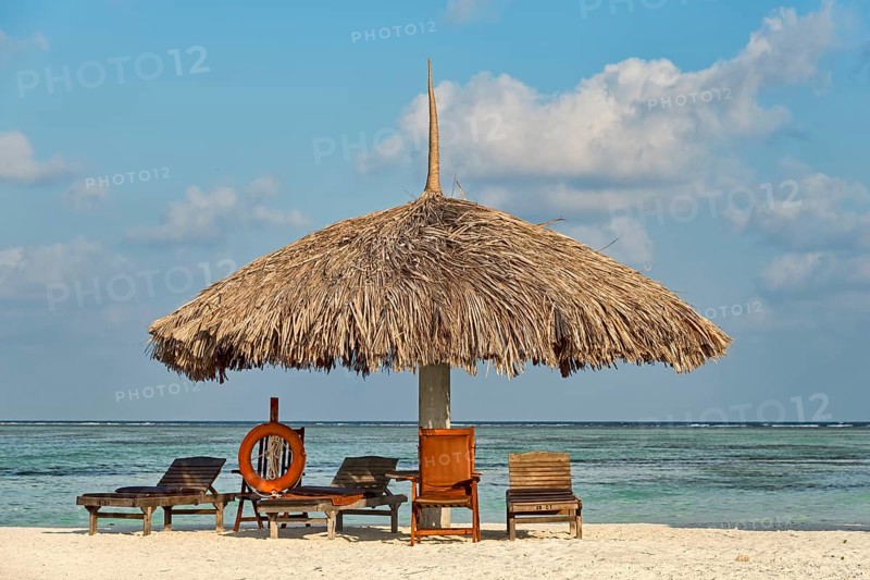 Parasol