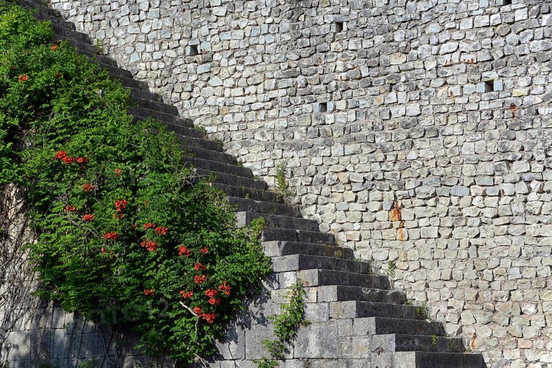 Walls of the historic Fortress of Nokalakevi